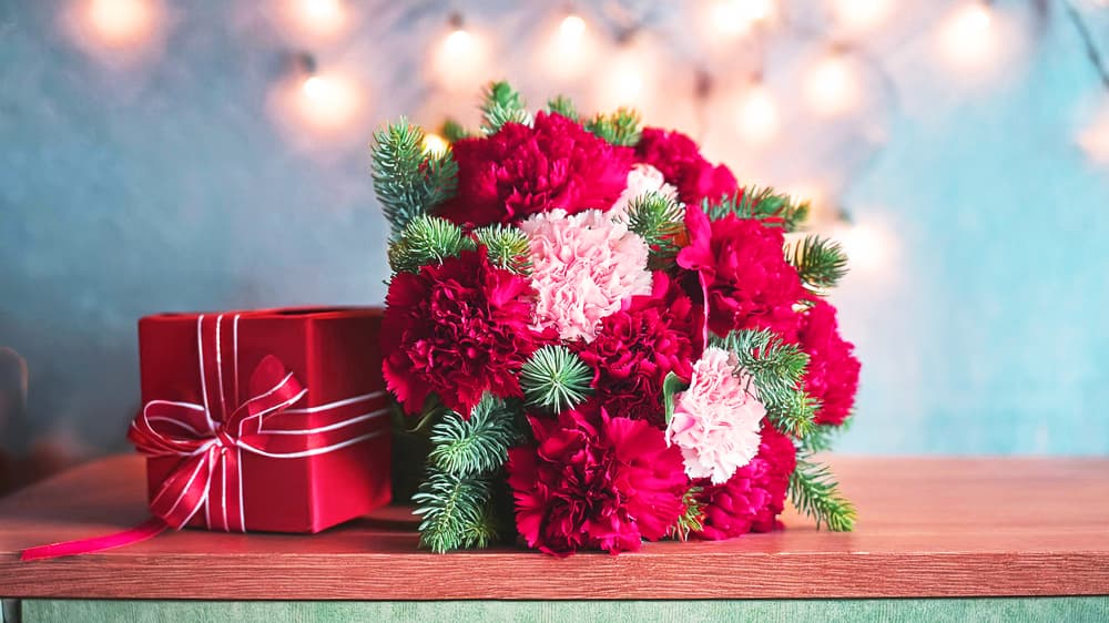 カーネーションの花