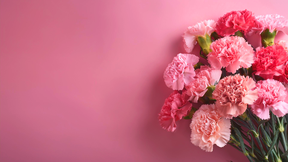 カーネーションの色・本数別の花言葉のご紹介！母の日や記念日にもおすすめ！