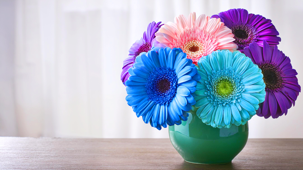 その他の色のガーベラ 