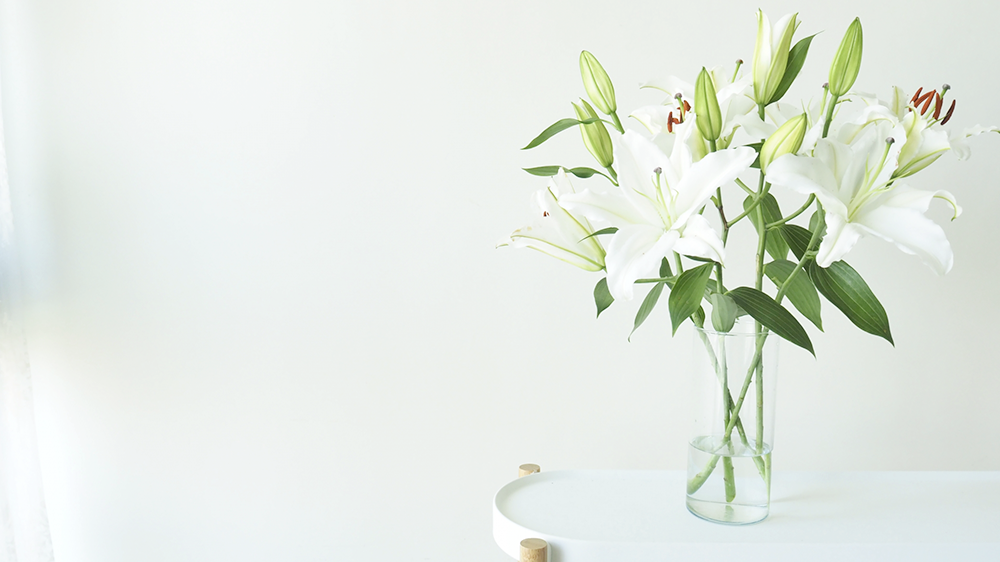 オリエンタルリリー（カサブランカ）