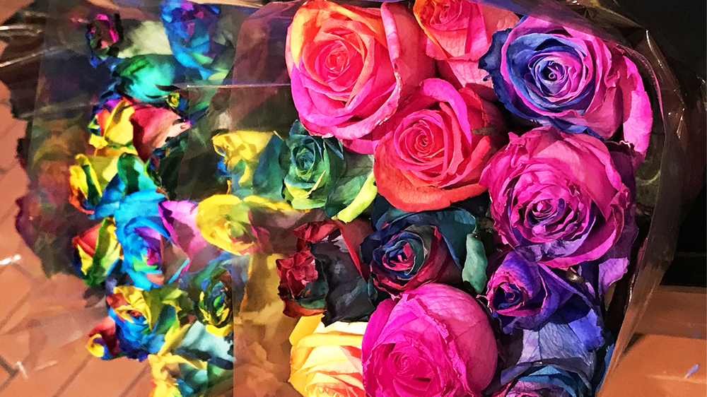 バラ（薔薇）の花言葉【その他の色】