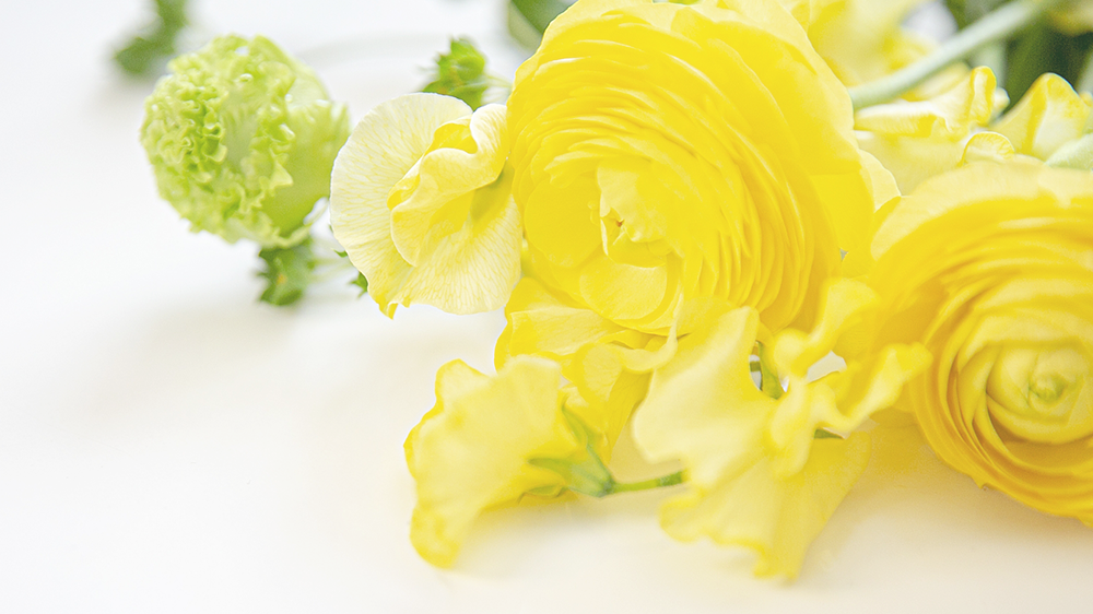 黄色のスイートピー